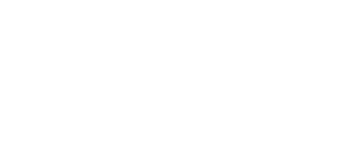 S08